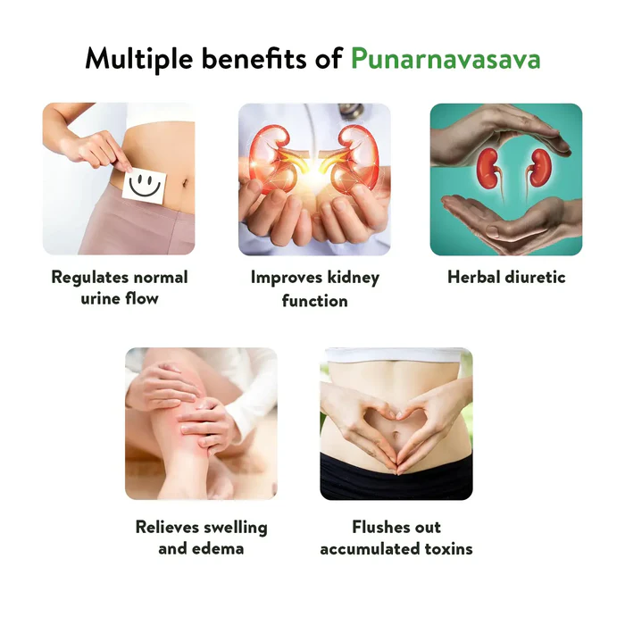 KERLA AYURVEDA PUNARNAWASAVA - Image 2
