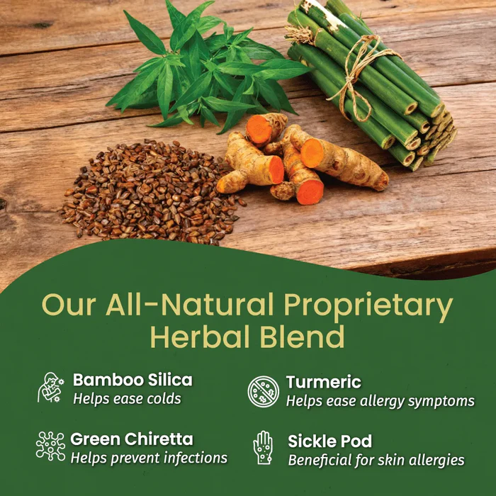 KERLA AYURVEDA HISTANTIN TABLET - Image 3